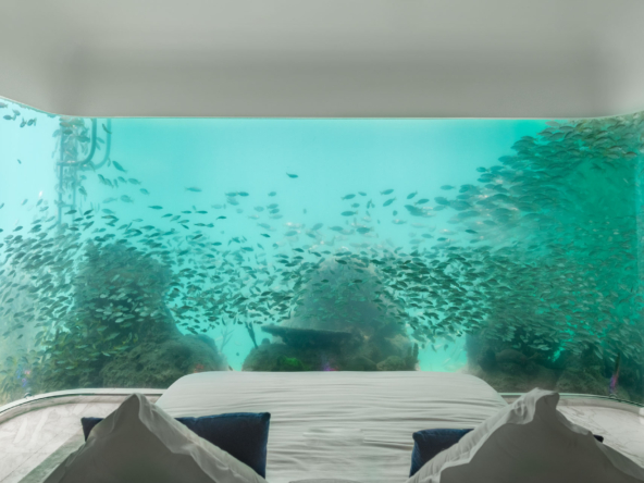 Floating Seahorse Aquarium in Bedroom High Resolution photo